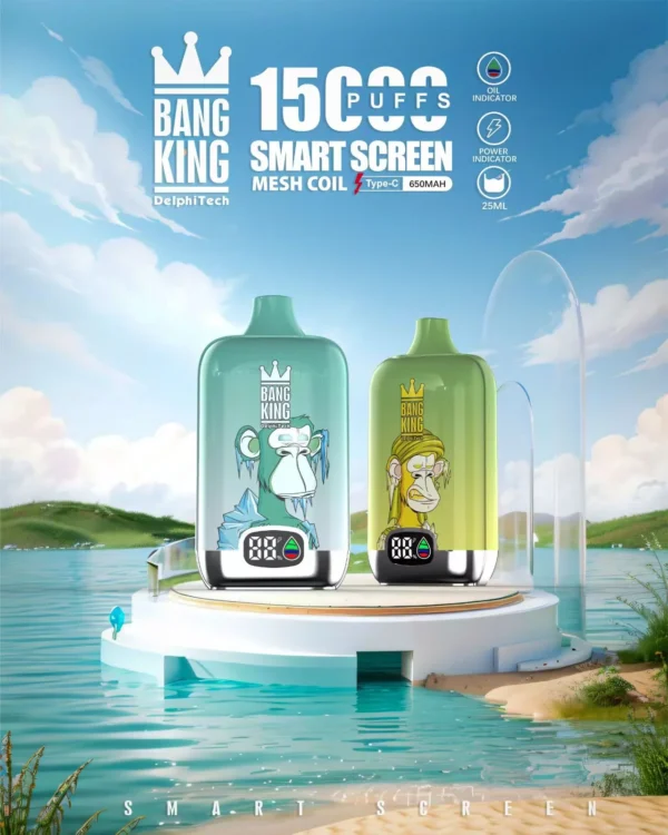 Bang King smartscreen 15000 Puffs 0% 2% 3% 5% Nicotine Rechargeable Disposable Vape Wholesale - AlsoVape - 1