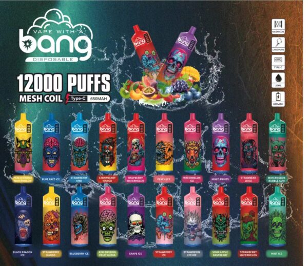 Bang Box 12000 Puffs 0% 2% 3% 5% Nikotinová dobíjecí jednorázová vape velkoobchod – AlsoVape – 1