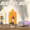 Randm Digital Box 12000 затяжек 0% 2% 3% 5% Светодиодный дисплей с низким содержанием никотина Перезаряжаемый оптом Купить одноразовые вейпы оптом